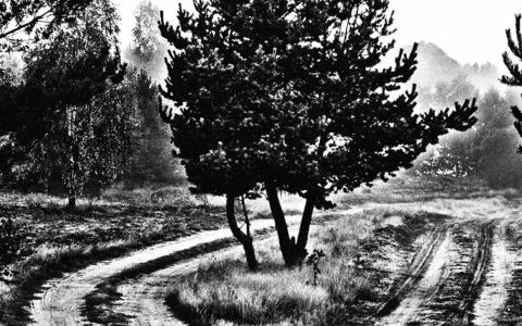 fotoblog-11