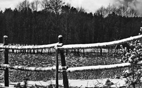 fotoblog-8